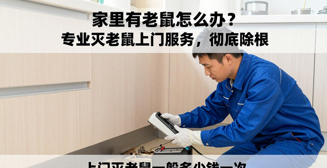 灭老鼠上门_老鼠上门好不好_一般上门灭鼠价钱怎样